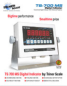 Airport Baggage Scale Brochure