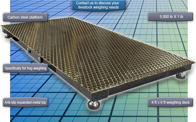 http://www.trinerscale.com/IMAGES/Custom_Scale_Livestock_Hog_Scale.jpg